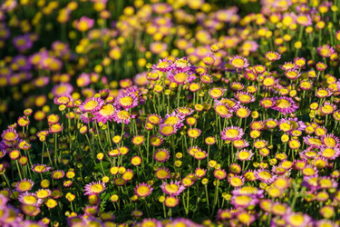 Similar image 21293416