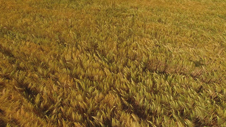 Similar image 21293418