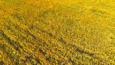 Similar image 21293354