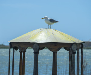 Similar image 21294152