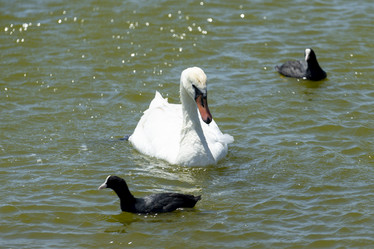 Similar image 21294160