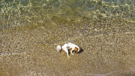 Similar image 21294163