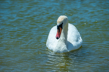 Similar image 21294243