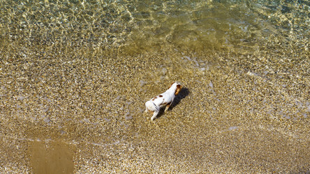 Similar image 21294245