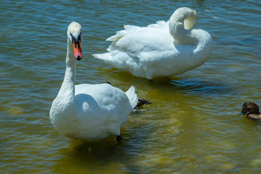 Similar image 21294254