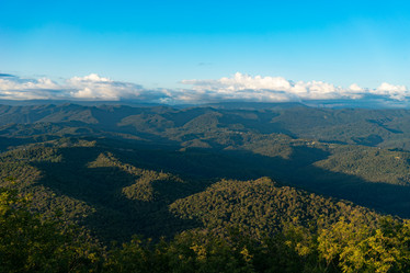 Similar image 21294477