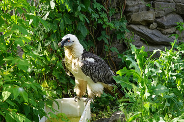 Similar image 21294266