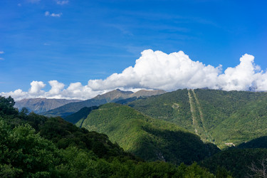 Similar image 21302657