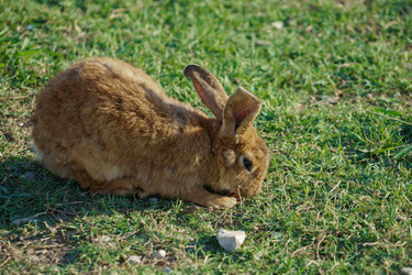 Similar image 21294274