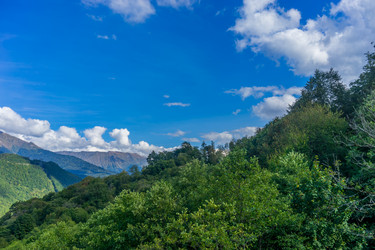 Similar image 21294275