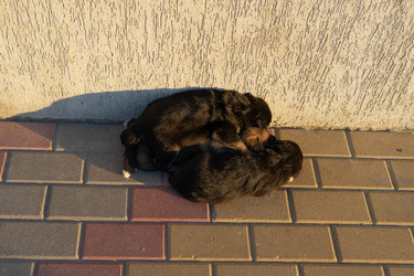 Similar image 21294165