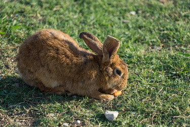 Similar image 21302658