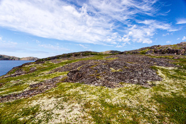 Similar image 21294198