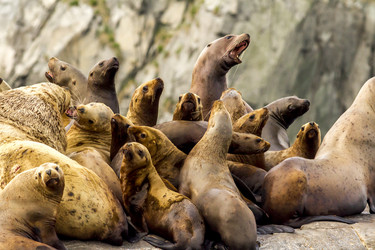 Similar image 21294203