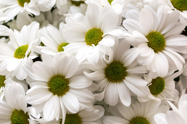 Similar image 21294205