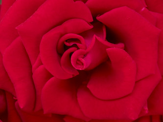 Similar image 21294206