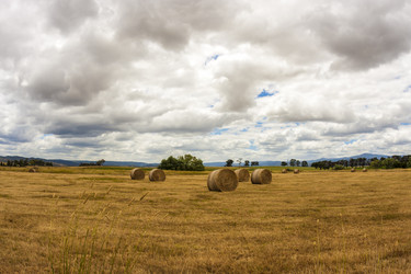 Similar image 21294210