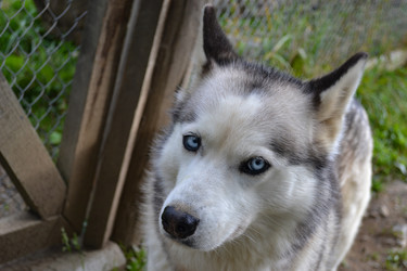 Similar image 21299030