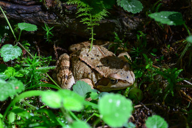 Similar image 21299051