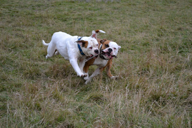 Similar image 21299052