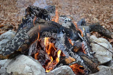 Similar image 21299054