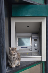 Similar image 21299055