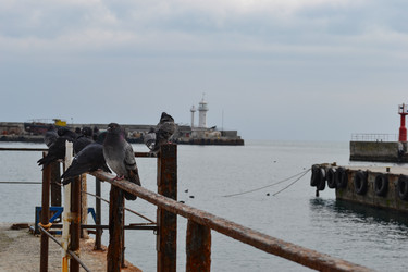 Similar image 21299031