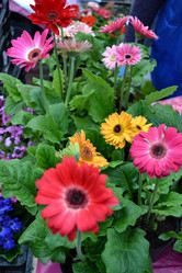 Similar image 21299033