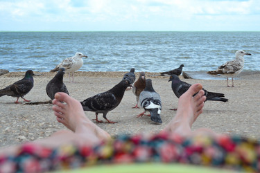 Similar image 21299037