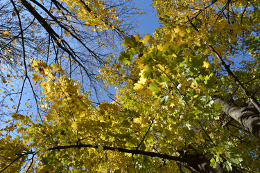 Similar image 21299038