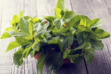 Similar image 21301196