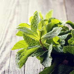 Similar image 21301202