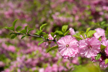 Similar image 21296686