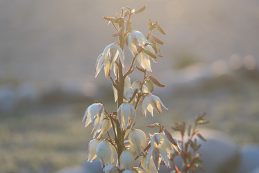 Similar image 21294479