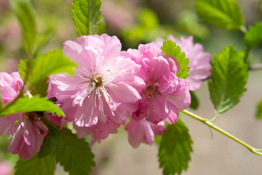 Similar image 21296506