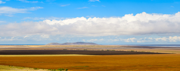 Similar image 21304038