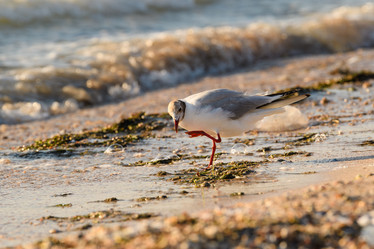 Similar image 21302290