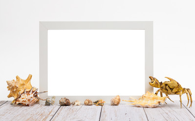 Similar image 21302291