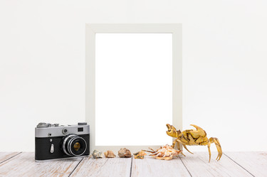 Similar image 21304039