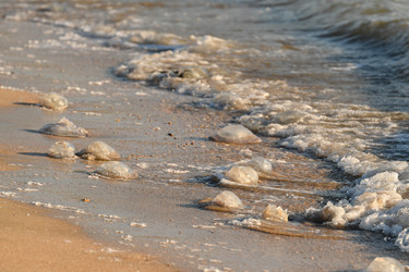 Similar image 21302366