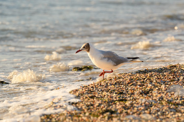 Similar image 21302369