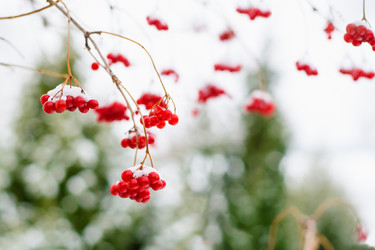 Similar image 21302378