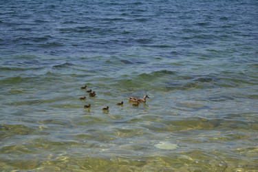 Similar image 21299063