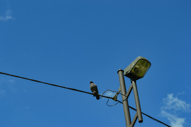 Similar image 21299064