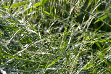 Similar image 21299065