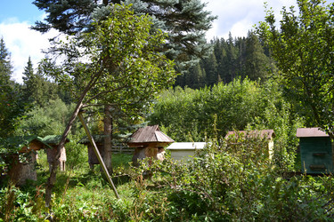 Similar image 21299068