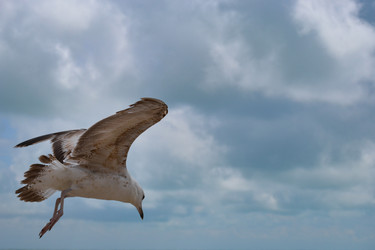 Similar image 21299069