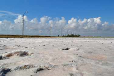 Similar image 21299070