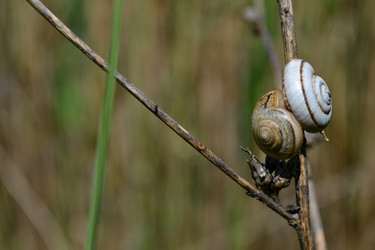 Similar image 21299071