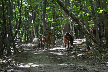 Similar image 21299072